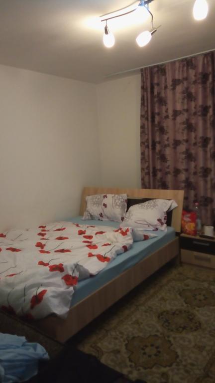 Central Apartment 2 Timisoara Exterior foto